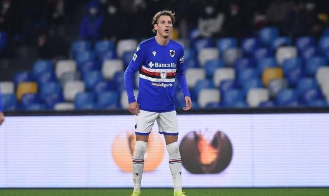 将决定哪一 将决定哪一