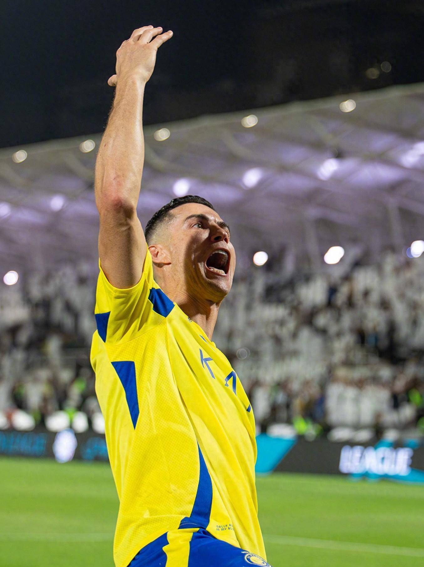 索引擎抓取 索引擎抓取